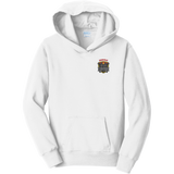 Danville Iron Youth Fan Favorite Fleece Pullover Hooded Sweatshirt